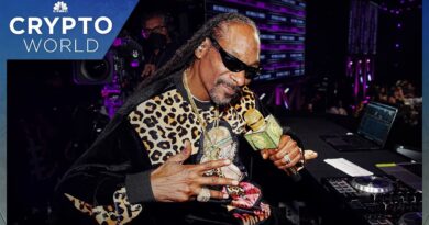 Snoop Dogg: Crypto winter ‘weeded out’ the NFT abusers