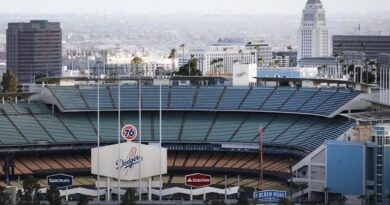 LA Dodgers co-owner discusses the teams winning season, what inspired him to be an owner, and MLB