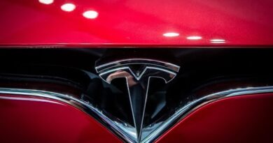 Starting to See Cracks in Tesla’s Armor: Wedbush’s Ives