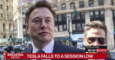 Tesla Falls to a Session Low