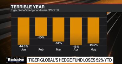 Tiger Global’s 52% Plunge Prompts Fee Cut