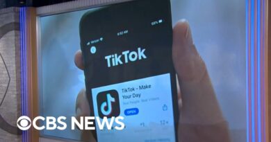 TikTok reportedly plans to expand into music streaming service