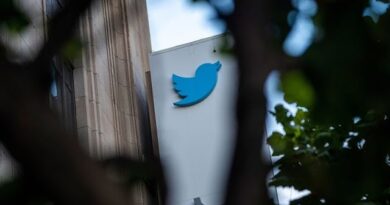 Twitter Loses 5,000 Workers Under Musk