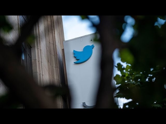 Twitter Loses 5,000 Workers Under Musk