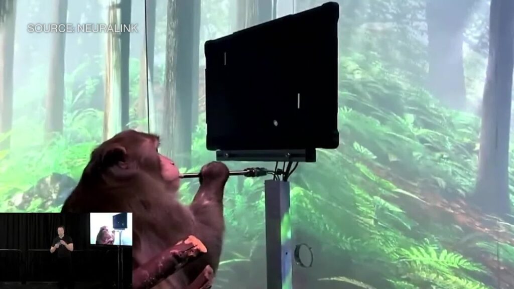 Watch: Elon Musk and a Monkey that is typing using its thoughts