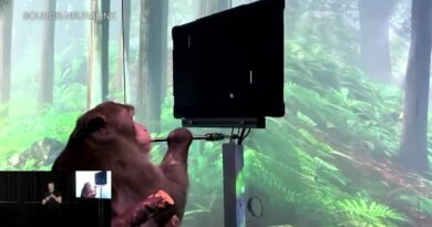 Watch: Elon Musk and a Monkey that is typing using its thoughts