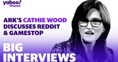 Ark’s Cathie Wood discusses Reddit, GameStop, potential bond bubble, and short sellers