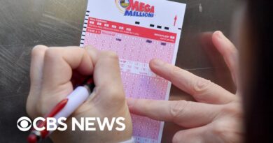 9 Mega Millions tickets were a Mega Ball short of winning it all