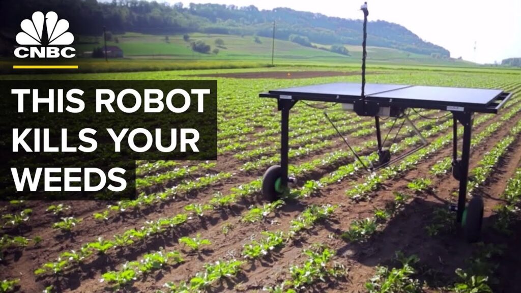 AI Helps This Robot Reduce Herbicide Use