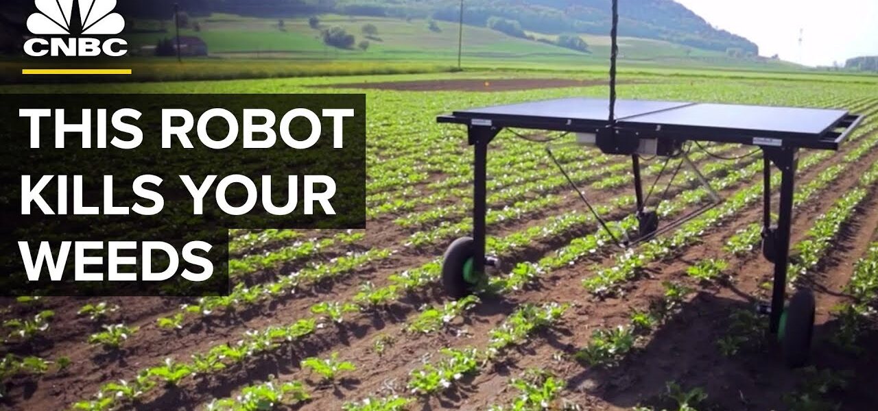 AI Helps This Robot Reduce Herbicide Use