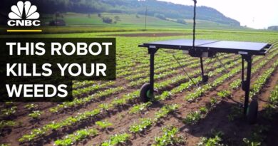 AI Helps This Robot Reduce Herbicide Use