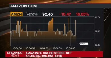 Amazon Stock Plunges After Projecting Weak Sales