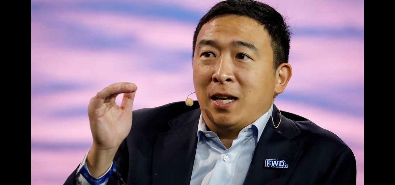 Andrew Yang on VC Landscape, Big Tech Regulation