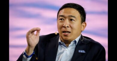 Andrew Yang on VC Landscape, Big Tech Regulation