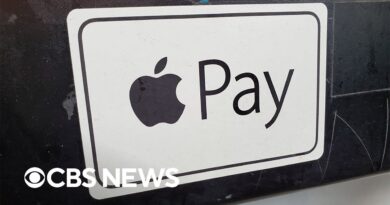 Apple introduces cryptocurrency payment feature