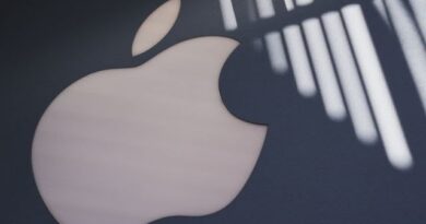 Apple Third Quarter Earns Narrowly Beat Estimates