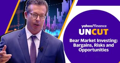 Bear Market Investing: Bargains, risks and opportunities