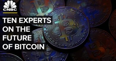 Bitcoin and Other Cryptocurrencies: Ten Experts Debate The Future