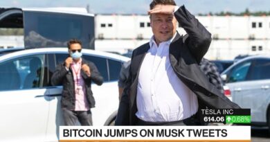 Bitcoin Has Nothing to Do With His Tesla Price Target: Adam Jonas