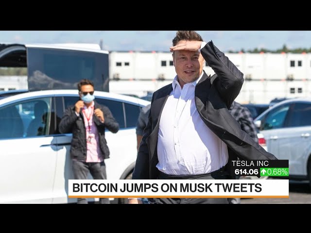 Bitcoin Has Nothing to Do With His Tesla Price Target: Adam Jonas