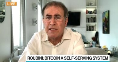 Bitcoin Is a ‘Self-Fulfilling Bubble,’ Roubini Warns