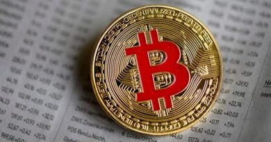 Bitcoin Is Extremely Volatile, BC Group's Chapman Says