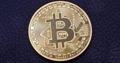 Bitcoin Rally Extends Into New Year