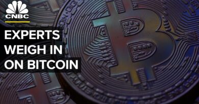 Bitcoin: What Seven Experts Think