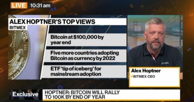 BitMEX CEO Alex Hoptner on Bitcoin Rally