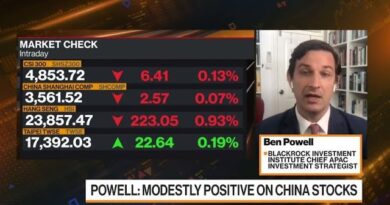 BlackRock Is ‘Modestly Positive’ on Chinese Stocks