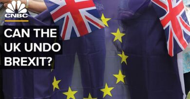 Can Brexit Be Reversed? And Other Questions About The UK’s Big Gamble