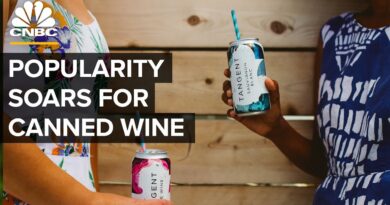 Canned Wine Is Now A  Million Industry