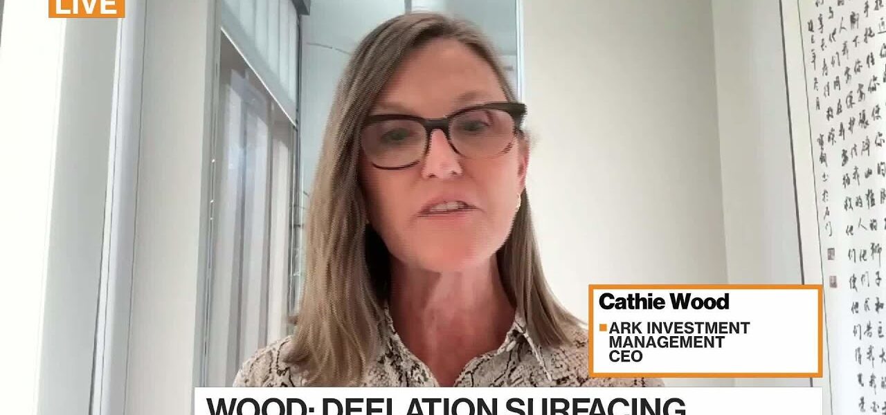 Cathie Wood on Deflation Risk, Tech Stocks and Bitcoin