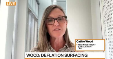 Cathie Wood on Deflation Risk, Tech Stocks and Bitcoin