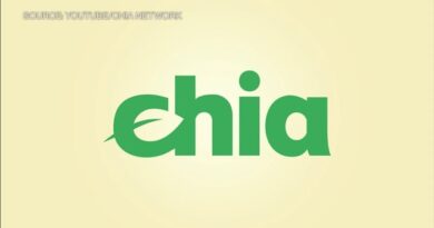 Chia Is A More Secure Alternative To Bitcoin, Ethereum, Says CEO