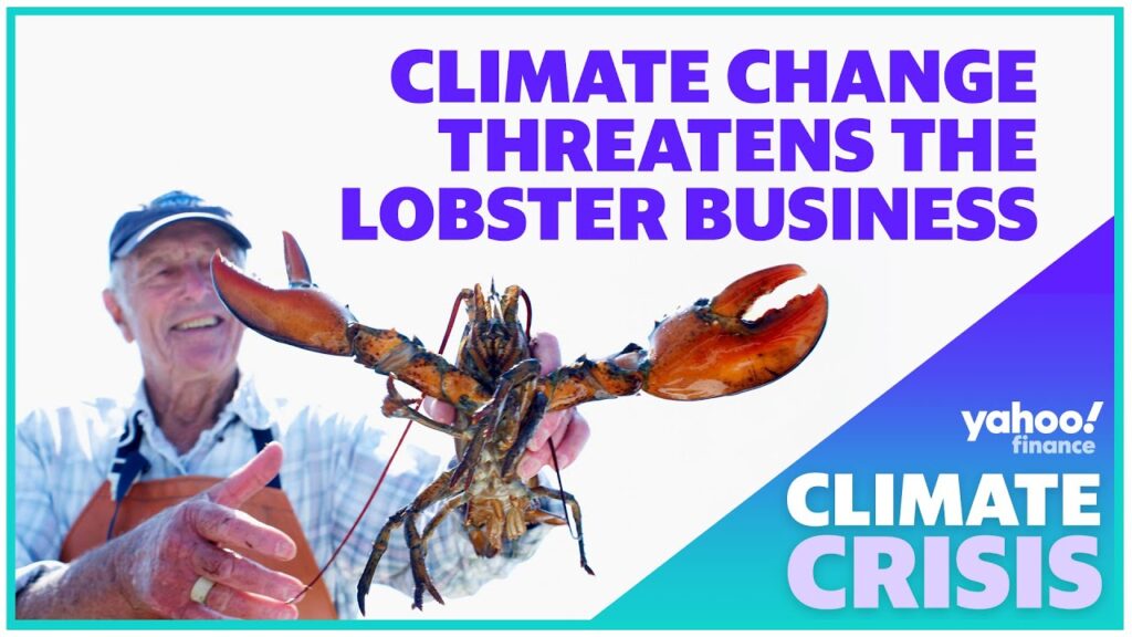 Climate change threatens lobster businesses in the U.S.