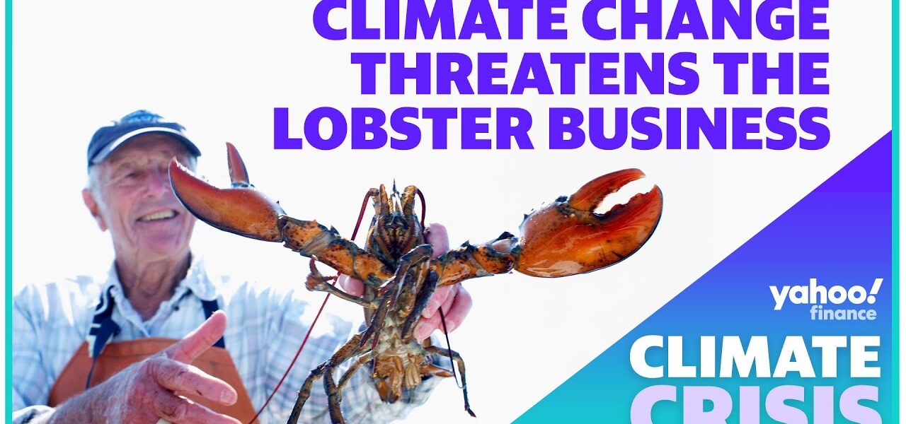 Climate change threatens lobster businesses in the U.S.