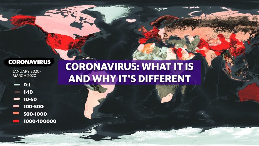 Coronavirus: Experts break down COVID-19