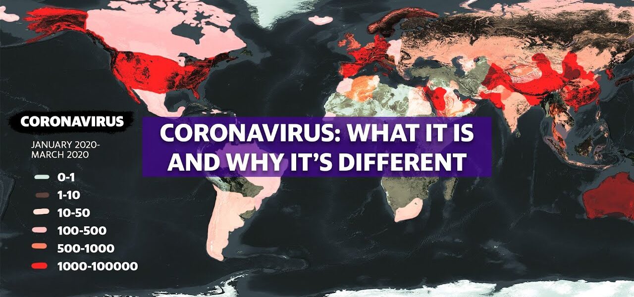 Coronavirus: Experts break down COVID-19