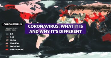 Coronavirus: Experts break down COVID-19