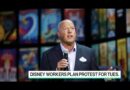 Disney CEO Bob Chapek Faces Walkout