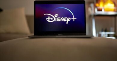 Disney Loses Streaming Rights to India's Top Cricket League