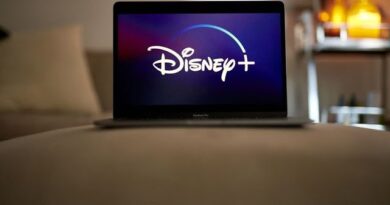 Disney Loses Streaming Rights to India’s Top Cricket League