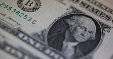 Dollar Going to Remain Quite Firm, Says Rabobank’s Foley