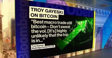 Don’t Sweat the Volatility Around Bitcoin: Gayeski