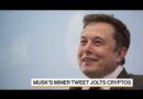 Elon Musk Is Still a Bitcoin Newcomer, Says Bobby Lee