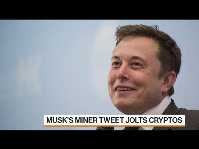 Elon Musk Is Still a Bitcoin Newcomer, Says Bobby Lee