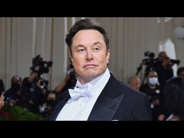 Elon Musk Terminates Deal for Twitter