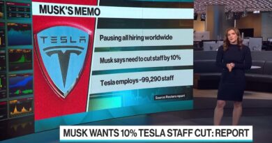 Elon Musk Wants to Cut Tesla Staff by 10%: Reuters