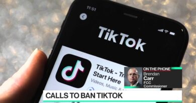 FCC Commissioner Wants TikTok Banned